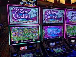 Pengguna menikmati hiburan sportsbook dan casino secara mulus melalui ponsel pintar